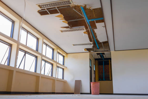 Best 24/7 water damage repair  in North Salt Lake, UT