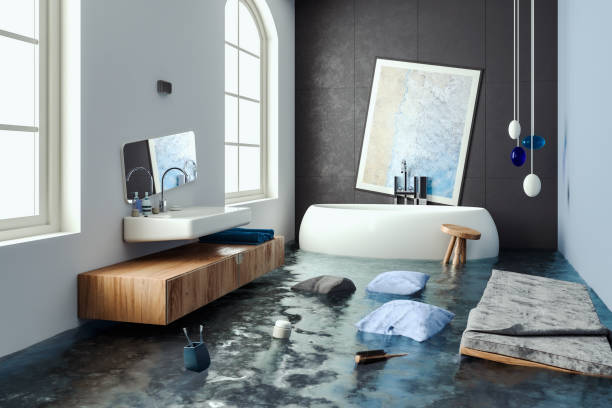 Best Basement water damage restoration  in North Salt Lake, UT