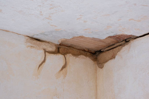 Best Flood restoration services  in North Salt Lake, UT