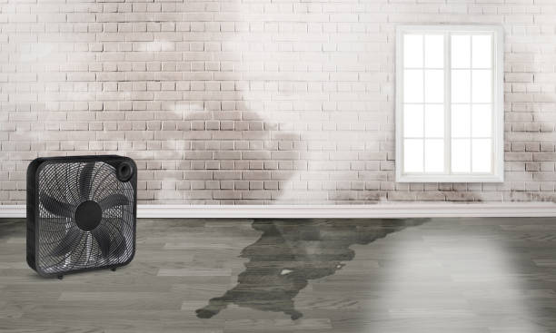 Best Emergency water damage restoration  in North Salt Lake, UT