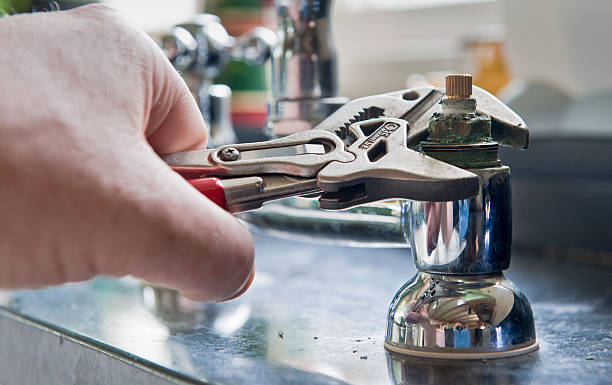 Best Mold removal after water damage  in North Salt Lake, UT