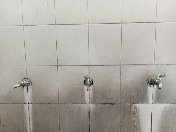 Best Flood damage cleanup  in North Salt Lake, UT