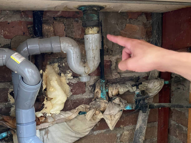 Best Professional water damage repair  in North Salt Lake, UT